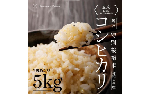丹波コシヒカリ玄米5kg特栽 1298160 - 兵庫県丹波市