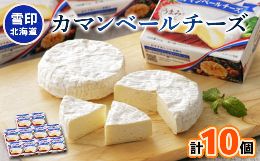 雪印北海道 カマンベールチーズ 1箱(90g×10個入り)【1476011】 1182769 - 北海道大樹町