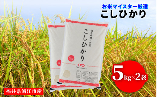 【年内特別価格！】令和6年産 コシヒカリ 10kg（5kg × 2袋）×1回 [B-02030b] / 定期便 お取り寄せ お米 精米 白米 小分け 便利 弁当 ごはん ご飯 コメ おにぎり ブランド 米 初回 送料無料 常温 配送 新生活 応援 1228922 - 福井県鯖江市