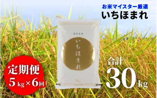 （6ヶ月連続お届け）令和5年産 いちほまれ 5kg×6回　計 30kg [B-02025e] 1230266 - 福井県鯖江市