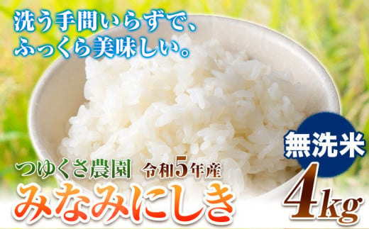 米 令和5年産 みなみにしき 無洗米 4kg 熊本県 荒尾市産 つゆくさ農園 米 選べる [30日以内に出荷予定(土日祝除く)] 米 こめ コメ 白米