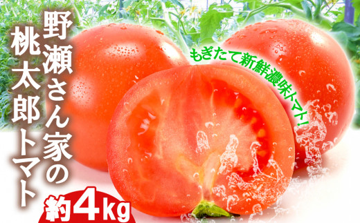 【完熟】野瀬さんちのもぎたて「桃太郎トマト」（ハウス栽培）