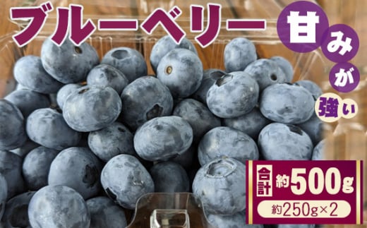 ブルーベリー 約500g(約250gパック×2) / 甘い 果物 フルーツ 埼玉県