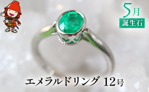 PT900 指輪/5.7g/D0.32 Emerald0.65/size12.5レディース