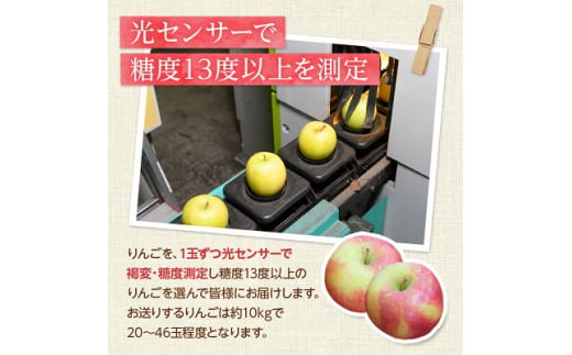 青森県青森市のふるさと納税 ＜青森産＞糖度13度以上保証!訳あり葉とらずサンふじ家庭用約10kg【1436011】