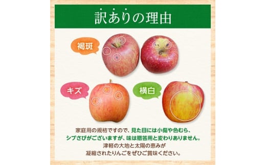 青森県青森市のふるさと納税 ＜青森産＞糖度13度以上保証!訳あり葉とらずサンふじ家庭用約10kg【1436011】