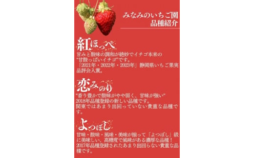 【令和6年2月から順次発送】完熟いちご300g 2パック（DXパック）紅ほっぺ、よつぼし、恋みのり から厳選　【 苺 いちご イチゴ 紅ほっぺ  よつぼし 恋みのり 産地直送 旬 果物 フルーツ くだもの 静岡県 伊豆 南伊豆町 期間限定 】|みなみのいちご園