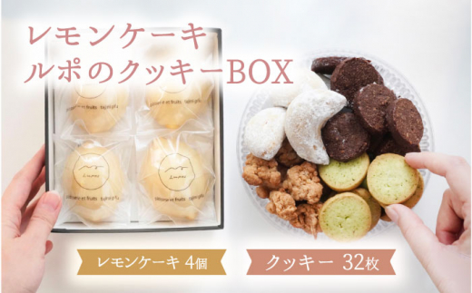 【1月発送】 レモン ケーキ 4個 入 ＆ クッキー BOX ( 小 )【ルポ】≪多治見市≫ スイーツ セット 詰め合わせ 焼き菓子 [TBN015] 1231315 - 岐阜県多治見市