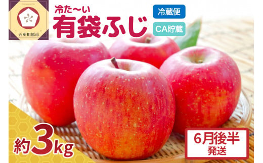 【6月後半発送】りんご ふじ 贈答用 約 3kg 【 有袋栽培 CA貯蔵 クール便 果物類 林檎 リンゴ ふじりんご フルーツ 青森 五所川原 】 1070668 - 青森県五所川原市