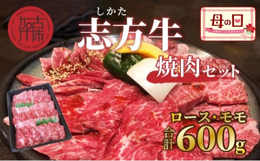 ＜母の日ギフト＞志方牛焼肉セット(600g)《 国産 牛肉 牛 国産牛 焼肉 ロース モモ お手軽 おいしい お取り寄せ グルメ 志方牛 ギフト 送料無料 》