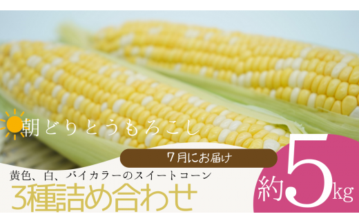 010-066 朝どりとうもろこし3種の詰め合わせ約5kg（江戸川極み野菜） 1418405 - 埼玉県吉川市