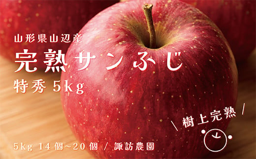 先行予約》2024年 山形県産 完熟 サンふじ りんご 特秀品 5kg 14～20個