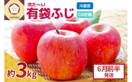 【6月前半発送】りんご ふじ 贈答用 約 3kg 【 有袋栽培 CA貯蔵 クール便 果物類 林檎 リンゴ ふじりんご フルーツ 青森 五所川原 】 1070667 - 青森県五所川原市