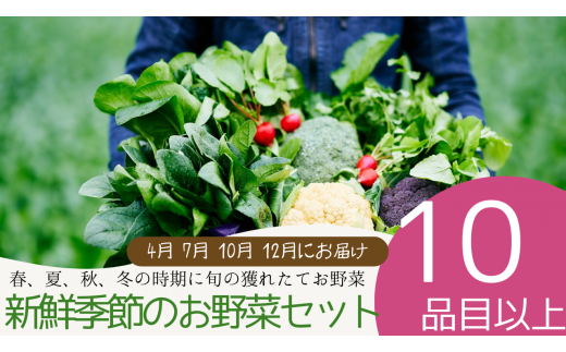 040-002 新鮮季節のお野菜セット年4回（江戸川極み野菜） 1418406 - 埼玉県吉川市