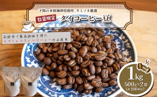 【中煎り】 訳あり コーヒー豆 1kg ( 500g × 2袋 )  数量限定 タイ 珈琲 自家焙煎 下関 山口 