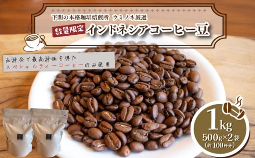 【豆】 訳あり コーヒー豆 1kg ( 500g × 2袋 )  数量限定 インドネシア 珈琲 自家焙煎 下関 山口 