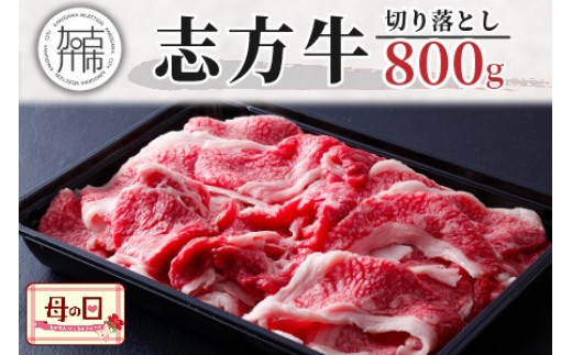 ＜母の日ギフト＞志方牛切り落とし(800g)《 国産 牛肉 牛 国産牛 切り落とし 小間切れ お手軽 お取り寄せ 志方牛 送料無料 》