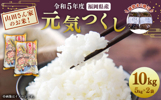 山田さん家のお米！令和5年産【元気つくし】10kg+雑穀米2種付
