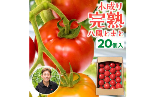 トマトは20個で合計約4㎏となります。