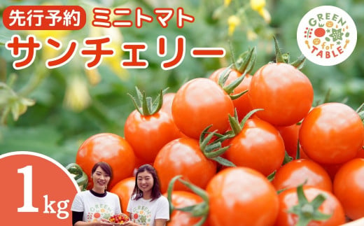 【 先行予約 】 ミニトマト サンチェリー