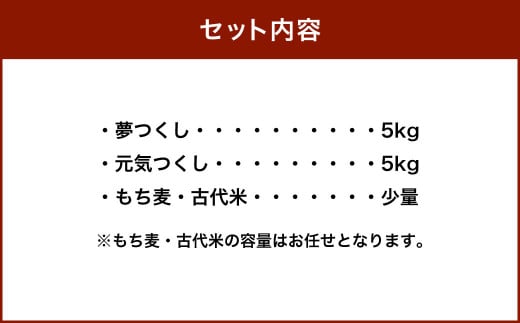 山田さん家のお米！令和5年産【夢つくし】【元気つくし】食べ比べセット 10kg+雑穀米2種付