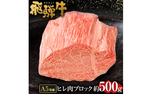 [ 希少部位 ]飛騨牛 A5 等級 ヒレ肉ブロック 約500g | 肉のかた山 ブロック肉 M61S01