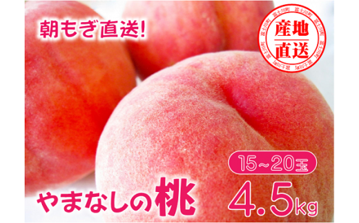 【先行予約】【2024年発送】矢崎さん家のもも 15～20玉 （約4.5kg）桃 もも 山梨県産 フルーツ くだもの 果物 産地直送