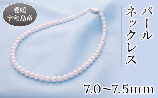 パール ネックレス 7.0-7.5mm 土居真珠 アクセサリー アコヤ真珠 ファッション 特産品 国産 愛媛 宇和島 A150-012017