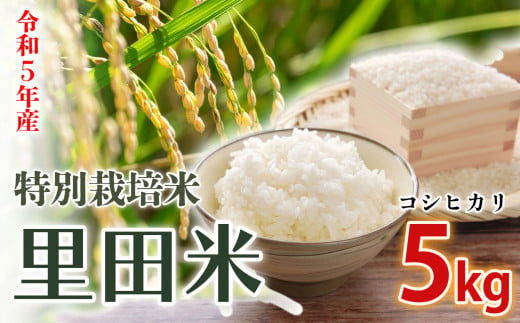 信州産 特別栽培米「里田のはぜかけ米」コシヒカリ 5kg 781302 - 長野県千曲市