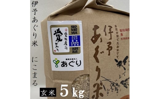 農薬・化学肥料ゼロ！安全・安心に食べられる美味しいお米です！町内産「伊予あぐり米（にこまる玄米）5㎏」