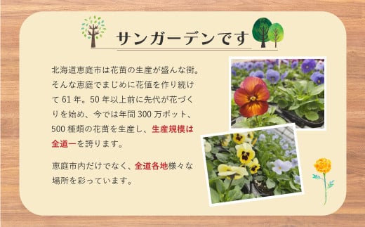 【先行予約】季節の花苗セット（30ポット以上）