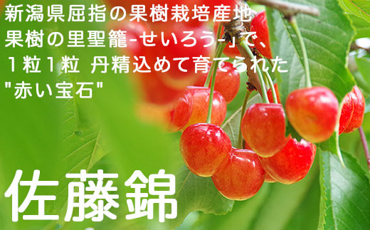 新潟県屈指の果樹栽培産地「果樹の里　聖籠-せいろう-」で、１粒１粒丹精込めて育てられた"赤い宝石"『佐藤錦』。