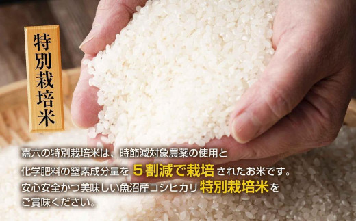 無地熨斗】魚沼産 コシヒカリ 20kg （5kg×4袋） 特別栽培米 魚沼の宝物
