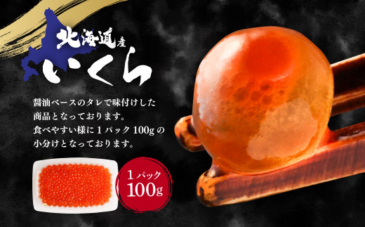 【4ヶ月定期便】いくら醬油漬け (北海道産原料使用) 100g×2パック 合計800g