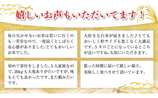 新米先行予約開始！ / 10月下旬出荷分】《令和6年産》茨城県産 コシヒカリ 精米 20kg (5kg×4袋）【各月数量限定】 こしひかり 米 コメ  こめ 単一米 限定 茨城県産 国産 美味しい お米 おこめ おコメ｜ふるラボ