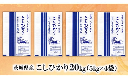 新米先行予約開始！ / 12月中旬出荷分】《令和6年産》茨城県産 コシヒカリ 精米 20kg (5kg×4袋）【各月数量限定】 こしひかり 米 コメ  こめ 単一米 限定 茨城県産 国産 美味しい お米 おこめ おコメ - 茨城県つくばみらい市｜ふるさとチョイス - ふるさと納税サイト