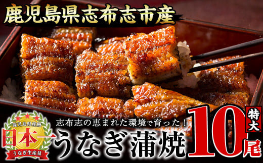 うなぎの大楠＜特大＞10尾セット計1.7kg(170g×10) g4-017 1235080 - 鹿児島県志布志市