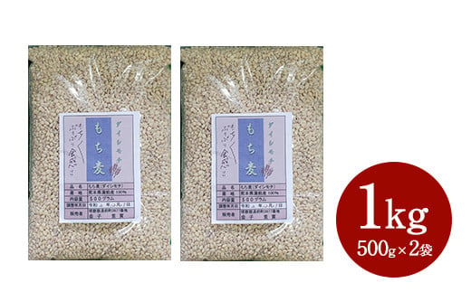 有機JAS規格認証 金子さんの｢もち麦｣ 1kg(500g×2袋) 1236182 - 熊本県湯前町