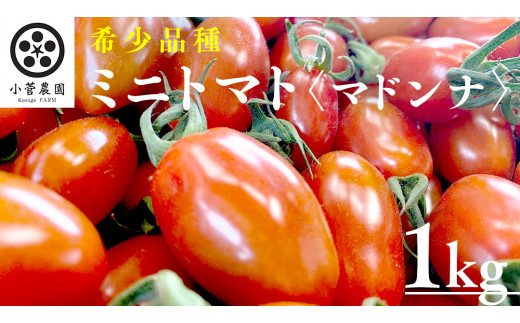 ミニトマト（マドンナ）約1kg ミニトマト マドンナ とまと リコピン トマト 野菜