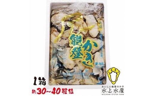 【復興支援】水上水産　能登のかき　むき身　約800g～900g入（３０～４０粒位） 1235593 - 石川県七尾市