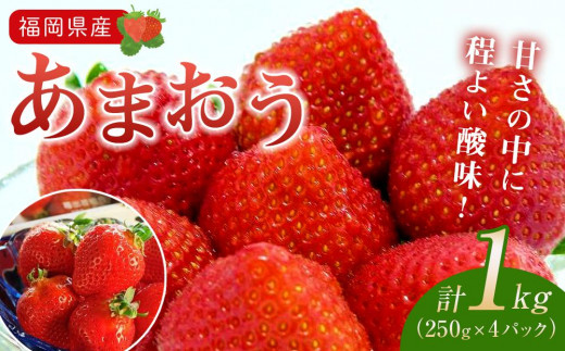 福岡県産あまおう(いちご)　1kg（250g×4パック）【いちご イチゴ 苺 あまおう フルーツ くだもの 果物 食品 人気 おすすめ 送料無料 AE001】
