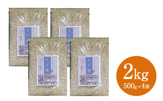 有機JAS規格認証 金子さんの｢もち麦｣ 2kg(500g×4袋) 1236183 - 熊本県湯前町