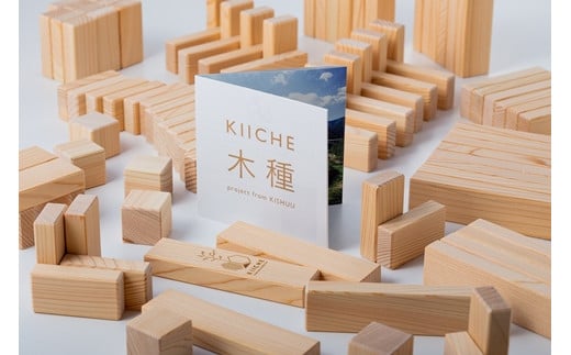 KIICHE木種model-X2 キッシュ【ヒノキの積木】