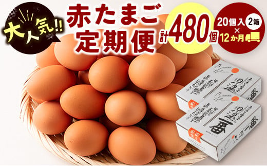定期便】卵 やさしい甘みあふれる卵『ピュア・エッグ』30個×3回 計90個