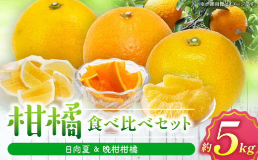 柑橘食べ比べセット5kg（日向夏＆晩柑柑橘）_M271-007 1149857 - 宮崎県宮崎市