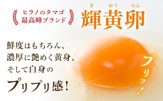 ヒラノのたまご 輝黄卵(きおうらん)赤Mサイズ10kg(160個前後)【卵 