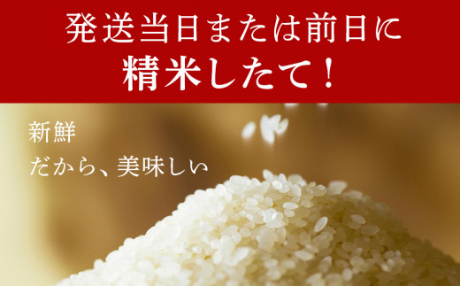 定期便6回】北海道産ゆめぴりか 5kg - 北海道千歳市｜ふるさとチョイス