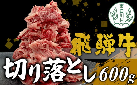 【2月発送】飛騨牛 切り落とし 600g 牛肉 和牛 肉 切落し ブランド牛 国産 牛 10000円 1025159 - 岐阜県東白川村