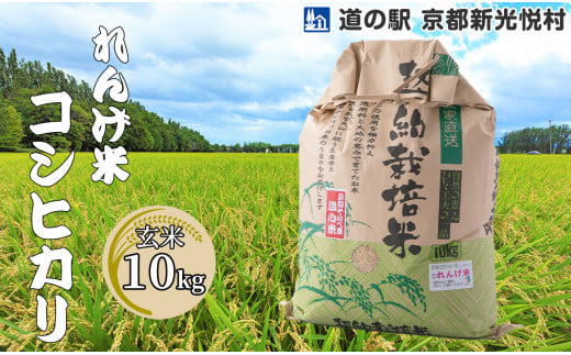 017N60 れんげ米コシヒカリ「玄米」10kg[髙島屋選定品]