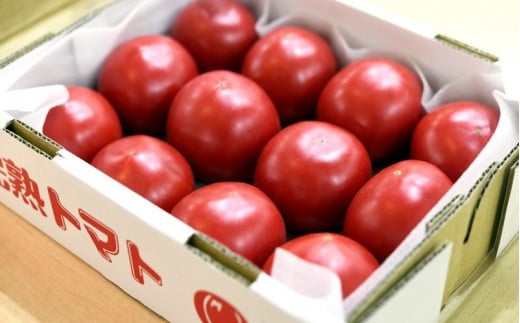 ５９０２　トマト 美味しんぼに登場したトマト｢桃太郎｣12～20玉 約1kg ランク：特選　糖度9度以上 石山農園 